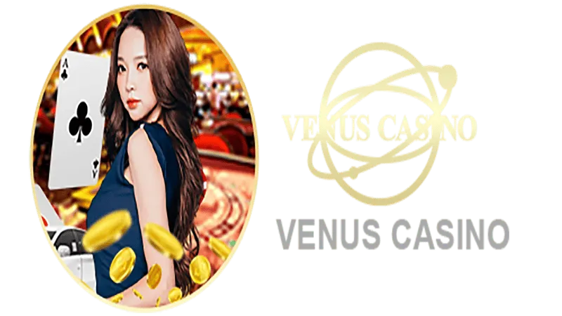 OLEYBET Informações básicas sobre o saguão do cassino Venus